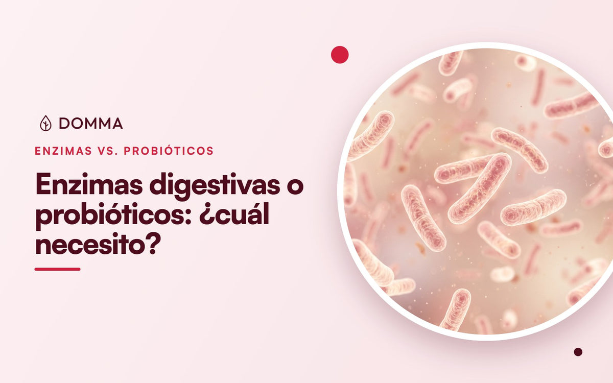 Enzimas digestivas o probióticos: ¿cuál necesito?