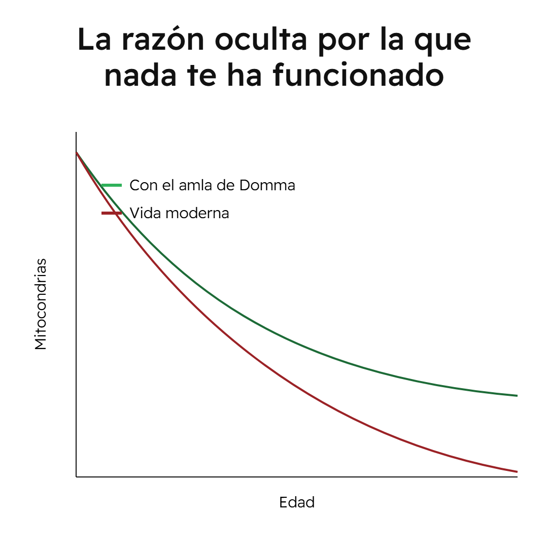 Amla Superfruta en cápsulas